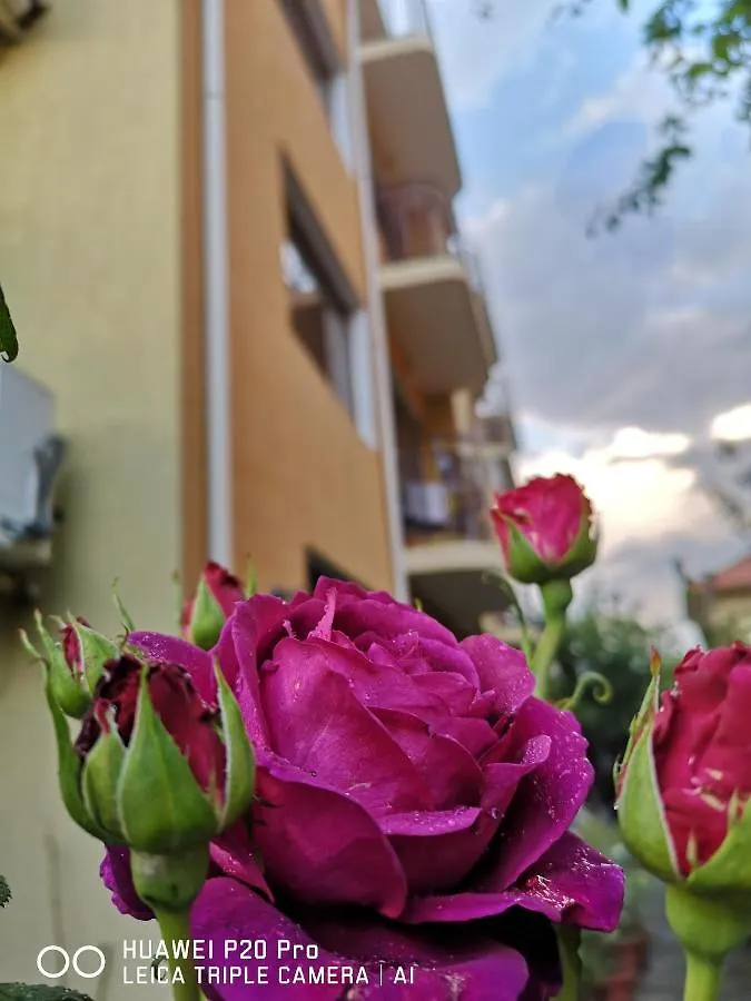 Guest House 